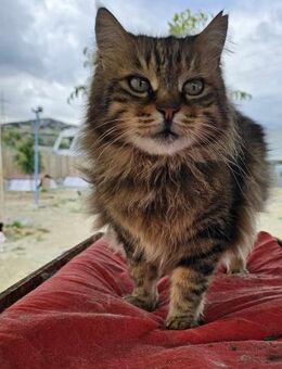 MAJU - Ein Mädchen mit Persönlichkeit - Kirchheim (München)