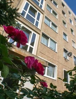 Ihr neues Zuhause - 4 Zimmer Wohnung! - Dresden
