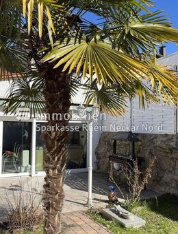 Besonderes Einfamilienhaus mit Pool, Sauna & Bar - Jetzt entdecken!!! - Mannheim