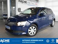 Skoda Fabia, 1.0 l MPI Active, Jahr 2015 - Blomberg (Nordrhein-Westfalen)