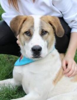 Yaro hat seinen Koffer schon gepackt - München