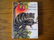 Gesucht,Wildkater mit neun Schwanzringen,Ottot H.Klingele,1972 - Linnich