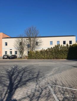 Sanierungsobjekt mit Potenzial in Brandis - Brandis