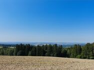 Eigentum statt Miete - Schöneck (Vogtland)