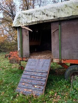 Viehanhänger - Eußenheim