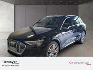 Audi e-tron 50 2x S LINE LM21 BuO VIRT.-SPIEGEL eSITZE AHK PANO - Dorsten