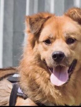 TELL - Schwerer Start - gutes Leben? - Augsburg