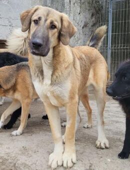 Miriam 💗 verspielt, aktiv, sucht dich! - Hamburg