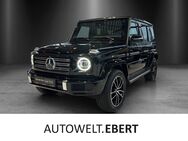 Mercedes G 500, FINAL EDITION Superior Distro MLED °, Jahr 2024 - Weinheim