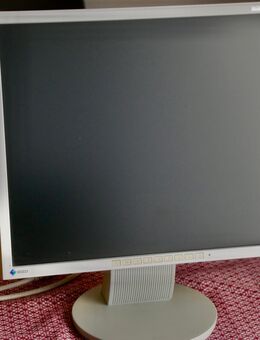 EIZO Monitor Flexscan S 1910 - Hilden