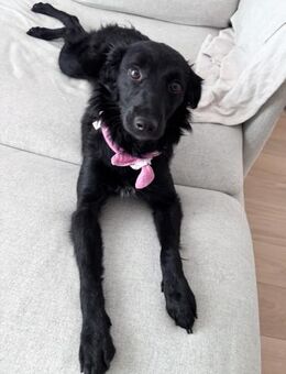 DAYA möchte ihre Menschen finden - Schwabach