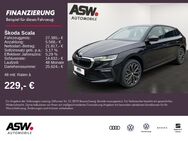 Skoda Scala, 1.0 TSI Drive 115PS Smar, Jahr 2022 - Bad Rappenau