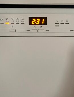 Miele Spülmaschine G5210SC active plus - Arnstein (Sachsen-Anhalt)