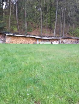 Brennholz gespalten - Krickenbach