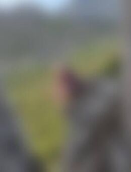 Bel*** - Lindau (Bodensee)