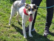 Fröhliche freundliche NELLY sucht ♥️ - München