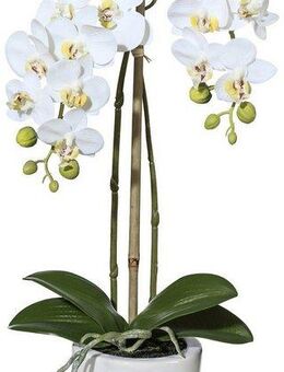 Kunstpflanze Orchidee Phalaenopsis Orchidee, Creativ green, Höhe 43 cm, im Keramiktopf