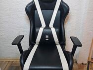 Neu Gaming Stuhl Diablo X-Horn 2.0 King Gamerstuhl Bürostuhl - Dortmund Bodelschwingh
