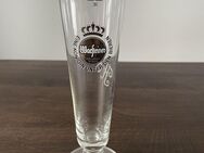 Pils Glas Warsteiner mit Gravur Goldrand - Vilshofen (Donau) Zentrum