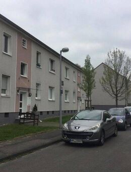 Schöne drei Zimmer mit Balkon, in Geheimtiplage von Heißen, kurzfristig - Mülheim (Ruhr)
