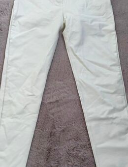 Freddywear Hose gr M vegan leder - Bingen (Rhein)