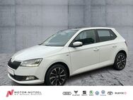 Skoda Fabia, 1.0 TSI DRIVE, Jahr 2020 - Kulmbach