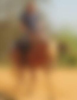 Wes*** - Mühlberg (Elbe)