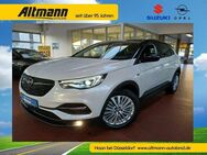 Opel Grandland X LED Kam Navi Scheibe & Sitze beheizb - Haan