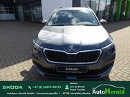 Skoda Kamiq, Tour SMART LINK, Jahr 2023 - Heiligenstadt (Heilbad) Zentrum