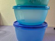 Schüssel Set 3 tlg. Tupperware , neu - Duderstadt