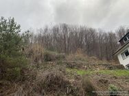 Das attraktive Grundstück mit Blick auf das Schloss in Hanglage wird verkauft. - Neuenbürg