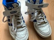 Gebrauchte Adidas Forum - Hildesheim