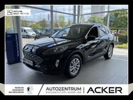 Ford Kuga, 2.0 EcoBlue Titanum X, Jahr 2024 - Bad Berleburg