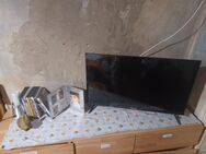 Hisense TV - Schwarzheide