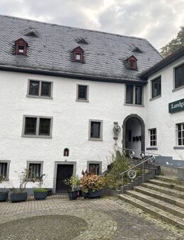 2-Zimmer-Wohnung in einer historischen Mühle in Koblenz-Arzheim - Koblenz