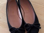 Ballerinas 43 - Friedrichshafen