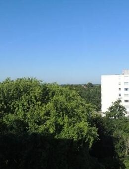 Helle 1-ZKB mit Weitblick & Küche - teilmöbliert im Wiesenhof - Wilhelmshaven
