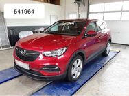 Opel Grandland X Plug In Hybrid S&S Edition LED SpurP - Steinbach-Hallenberg