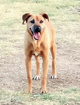 Aurora wünscht sich eine Familie - Untergriesbach