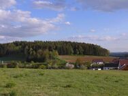 Genießen Sie die ländliche Idylle in Ohrenbach bei Auerbach - Auerbach (Oberpfalz)