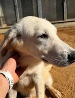 IVO - der Schatz aus der Kiste - Regensburg