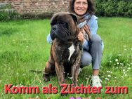 Hundezüchter werden, Hundezucht erklärt, Online Züchterseminare, Doku, Weiterbildung für Züchter, Kurse, Webinare, Seminare - Spremberg
