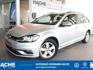 VW Golf Variant, 1.6 TDI Golf 7 Comfortline, Jahr 2019 - Blomberg (Nordrhein-Westfalen)