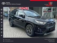 Toyota RAV 4, 2.5 4x2 Hybrid Team D Technik Paket El, Jahr 2024 - Steinfurt