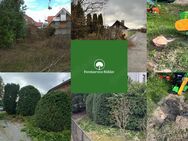 Heckenschnitt / Grüngut / Häckseln / Fällung / Rasenmähen / Wurzelstockfräsen - Leibertingen