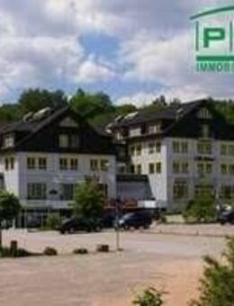 1 Raumwohnung mit Einbauküche in Schwarzenberg - Schwarzenberg (Erzgebirge)