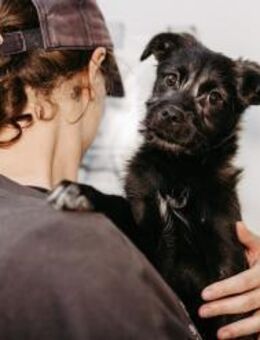Cookie sucht seine Herzensmenschen 💕 - Kallmünz