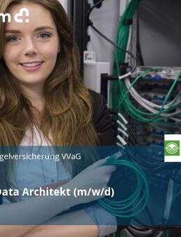 (Senior-) Data Architekt (m/w/d) - Gießen
