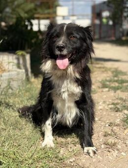 Luna - Sie braucht deine Liebe - Köln