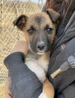 TINY-GIRL WÜNSCHT SICH EINE FAMILIE - Bissingen